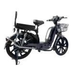 22 inch Baling King front and rear guard rear folding shelf load power type household electric bicycle 400W/800W motor